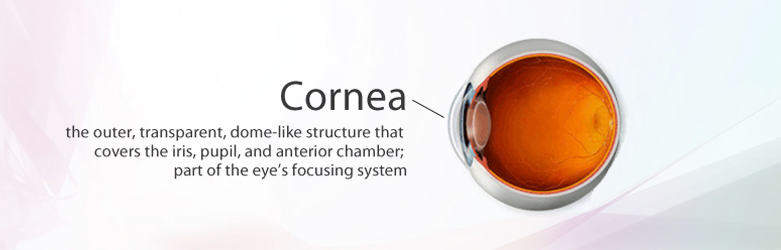 cornea services
